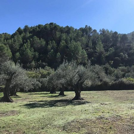 Eslida Paraiso Cuantico المظهر الخارجي الصورة