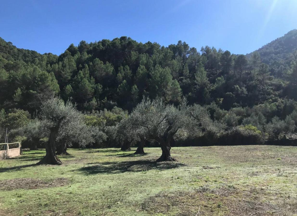 Eslida Paraiso Cuantico المظهر الخارجي الصورة